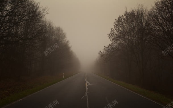 树林雾霾高速公路背景