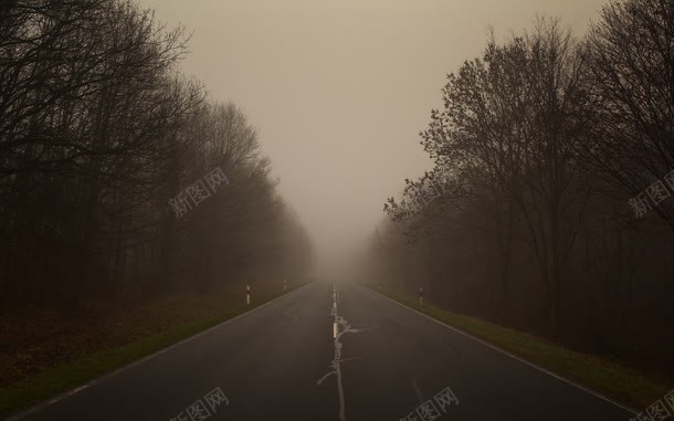 树林雾霾高速公路jpg设计背景_88icon https://88icon.com 树林 高速公路