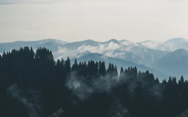 森林远山烟雾缭绕背景