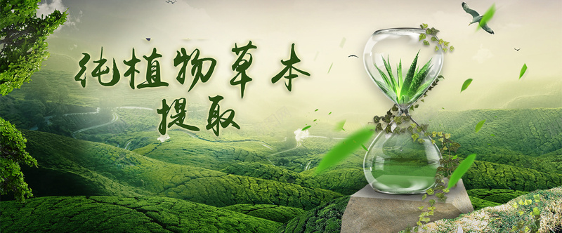 化妆品绿色背景psd设计背景_88icon https://88icon.com 化妆品 大气 枯木 植物 沙漏 海报banner 绿色 花藤 草本 飞叶