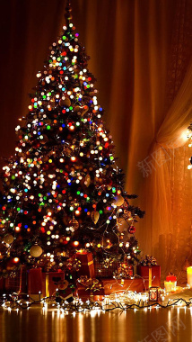 圣诞节摄影圣诞树灯光黑色H5背景摄影图片