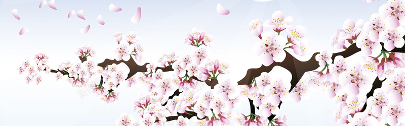 春季桃花背景摄影图片