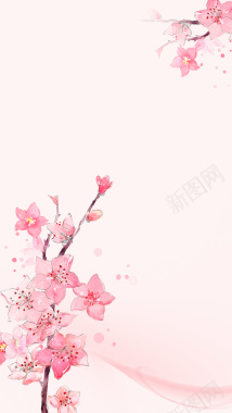 中国风粉色花朵质感母亲节H5分层背景背景