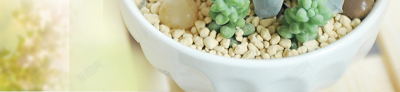 多肉植物清新海报背景psd设计背景_88icon https://88icon.com DIY 多肉 多肉DIY 多肉植物 微景观 微景观DIY 绿植 绿植DIY 绿植图片下载
