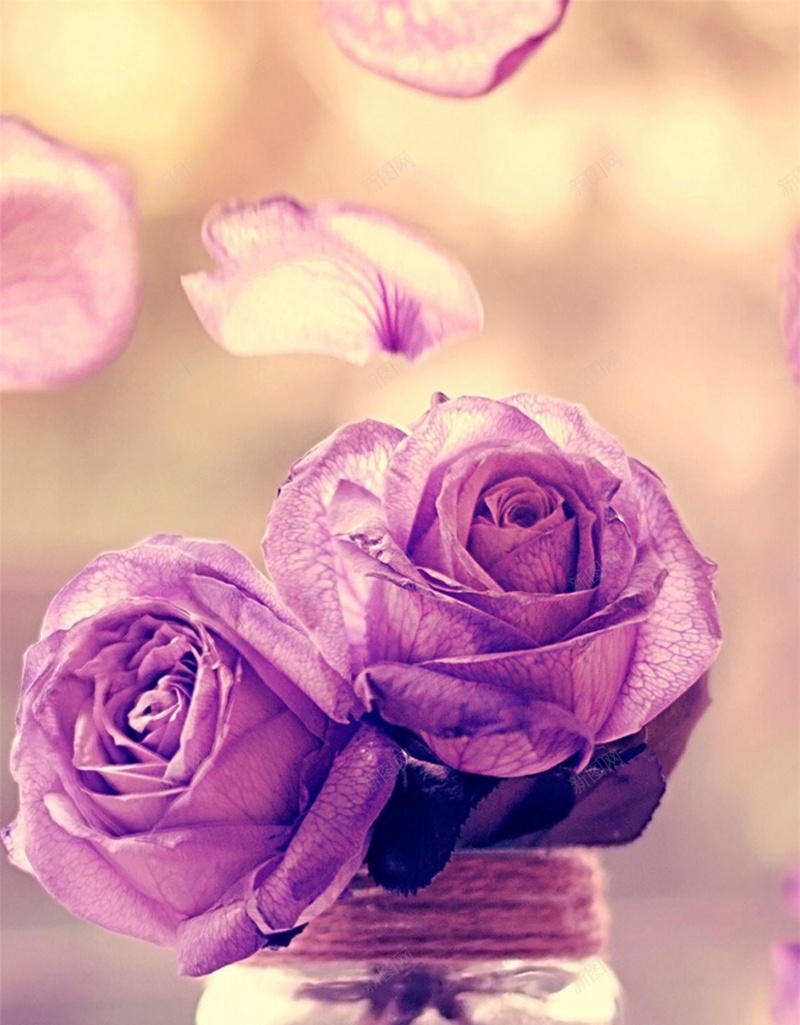 小清新紫色花朵H5背景jpg_88icon https://88icon.com H5 h5 唯美 彩色 摄影 浪漫 花 花季 风景