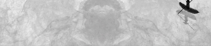 中国功夫海报背景jpg设计背景_88icon https://88icon.com 中国功夫 中国风 剪影 动作 太极 太极小人 太极拳 太极拳招式 太极拳比赛 手绘 招聘 武僧 武术 武魂 比武 水墨 道家