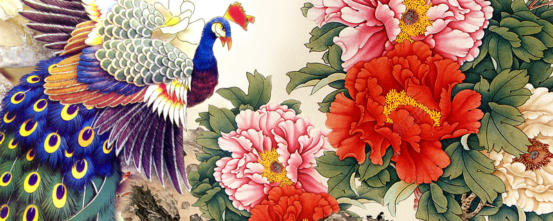 牡丹花孔雀淘宝网站背景图背景
