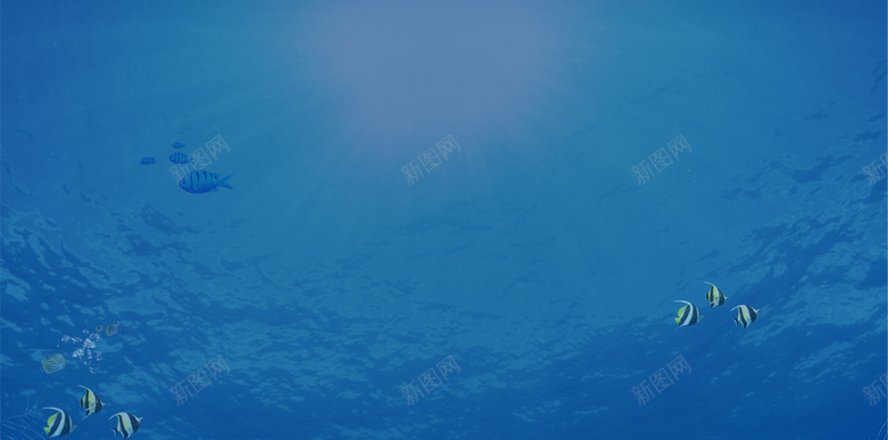 海洋质感H5分层背景psd设计背景_88icon https://88icon.com H5 光 分层背景 唯美 海洋 简约 蓝色 质感 鱼儿