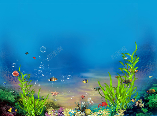 海底世界珊瑚海草海报背景元素背景