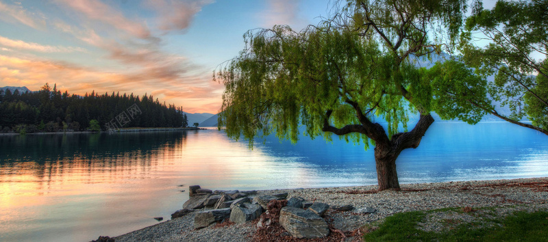 柳树湖边风景背景摄影图片