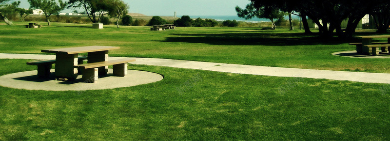 绿色公园草地海报背景jpg设计背景_88icon https://88icon.com 公园 海报banner 海报背景 绿色 草地