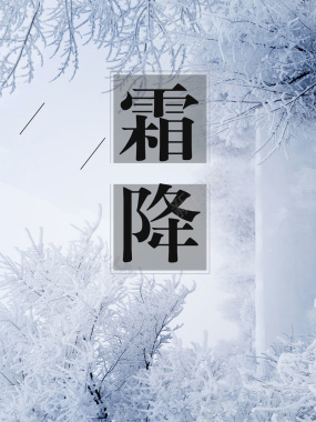 霜降中国传统节气海报背景psd背景