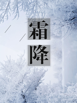 挂霜的树霜降中国传统节气海报背景psd高清图片