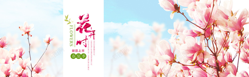 淘宝女装背景图psd_88icon https://88icon.com 摄影 桃花 海报banner 简约 花瓣 风景