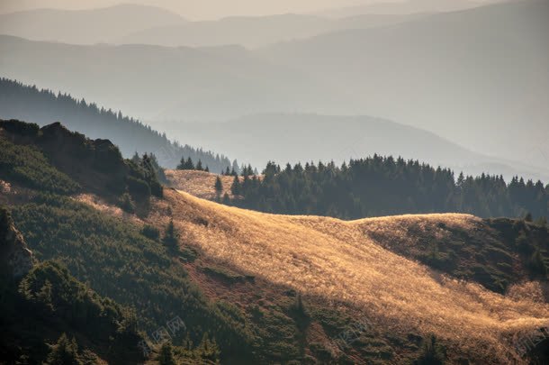 森林连绵山坡土地jpg设计背景_88icon https://88icon.com 土地 山坡 森林 连绵