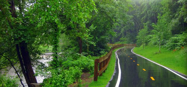 雨中的公园jpg设计背景_88icon https://88icon.com 下雨 公园 公路 树林 植物 自然风光 道路