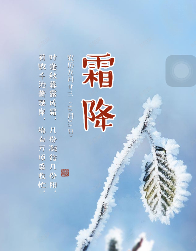 二十四节气霜降H5背景psd_88icon https://88icon.com H5 二十四节气 摄影 渐变 雪花 霜降 风景