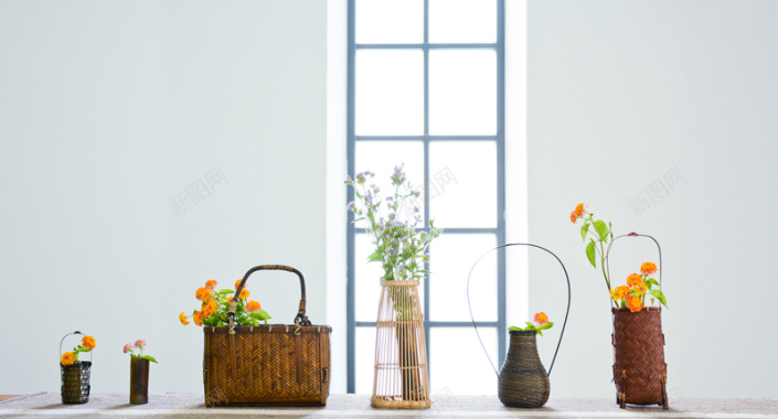 小雏菊背景