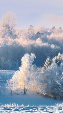 冬季唯美风景H5背景摄影图片