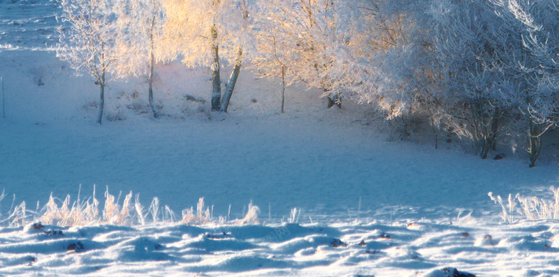 冬季唯美风景H5背景jpg_88icon https://88icon.com H5 h5 天空 摄影 树林 清新 雪地 雪山 风景