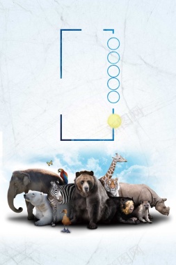 简约创意保护野生动物公益海报背景背景