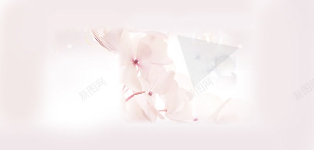 粉色天然纯洁花朵jpg设计背景_88icon https://88icon.com 天然 粉色 纯洁 花朵