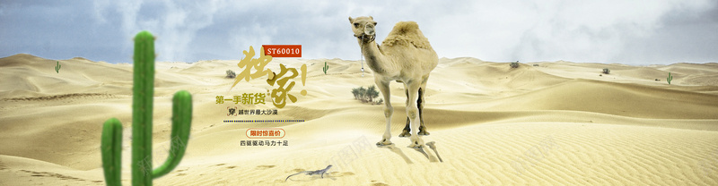 骆驼沙漠背景摄影图片