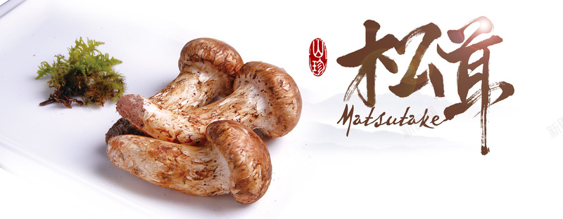 美食松茸背景psd设计背景_88icon https://88icon.com 中国风 松茸 海报banner 白色 美食 背景 野生 食品