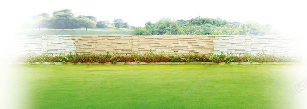 树林草丛清新背景bannerjpg设计背景_88icon https://88icon.com banner 墙 树林 清新 背景 花 草 草丛