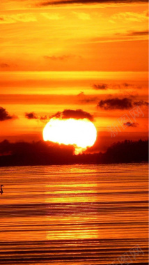 黄色夕阳H5背景摄影图片