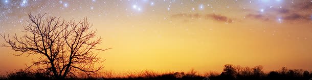 夜晚田野与梦幻星空美景jpg设计背景_88icon https://88icon.com 夜晚 星空 树 梦幻