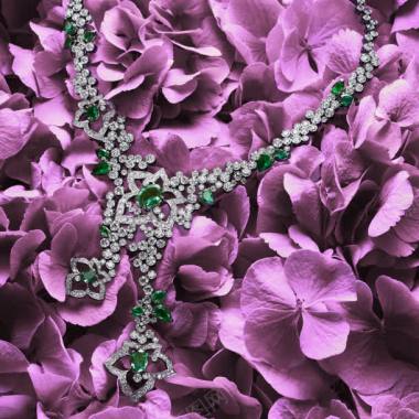 花朵的绿宝石项链海报背景背景