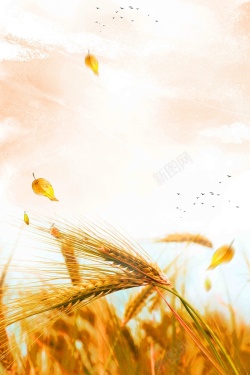 芒种农事中国风传统二十四节气之芒种海报高清图片