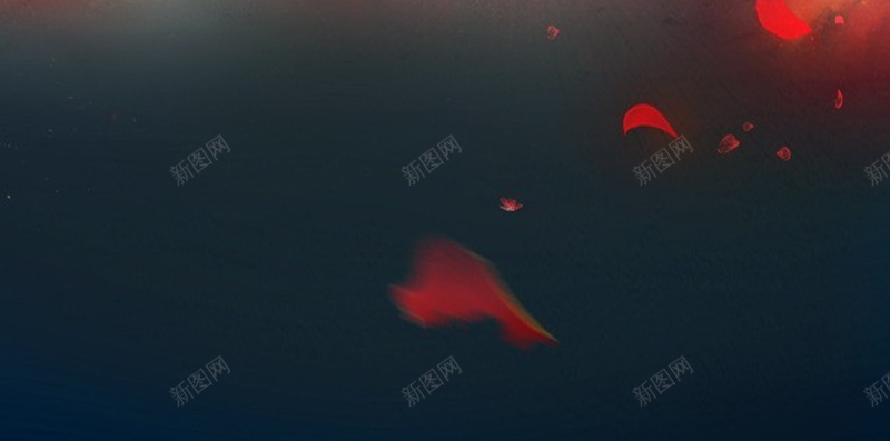 宫廷古风花瓣飞舞夜空下H5背景jpg设计背景_88icon https://88icon.com 古风 古风背景 夜空 夜空背景 宫廷 背景古风 花瓣 花瓣背景 花瓣飞舞 飞舞