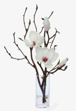 白色花卉花枝插花软装装饰素材