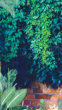 清新绿色树叶植物红色砖墙风景摄影摄影图片