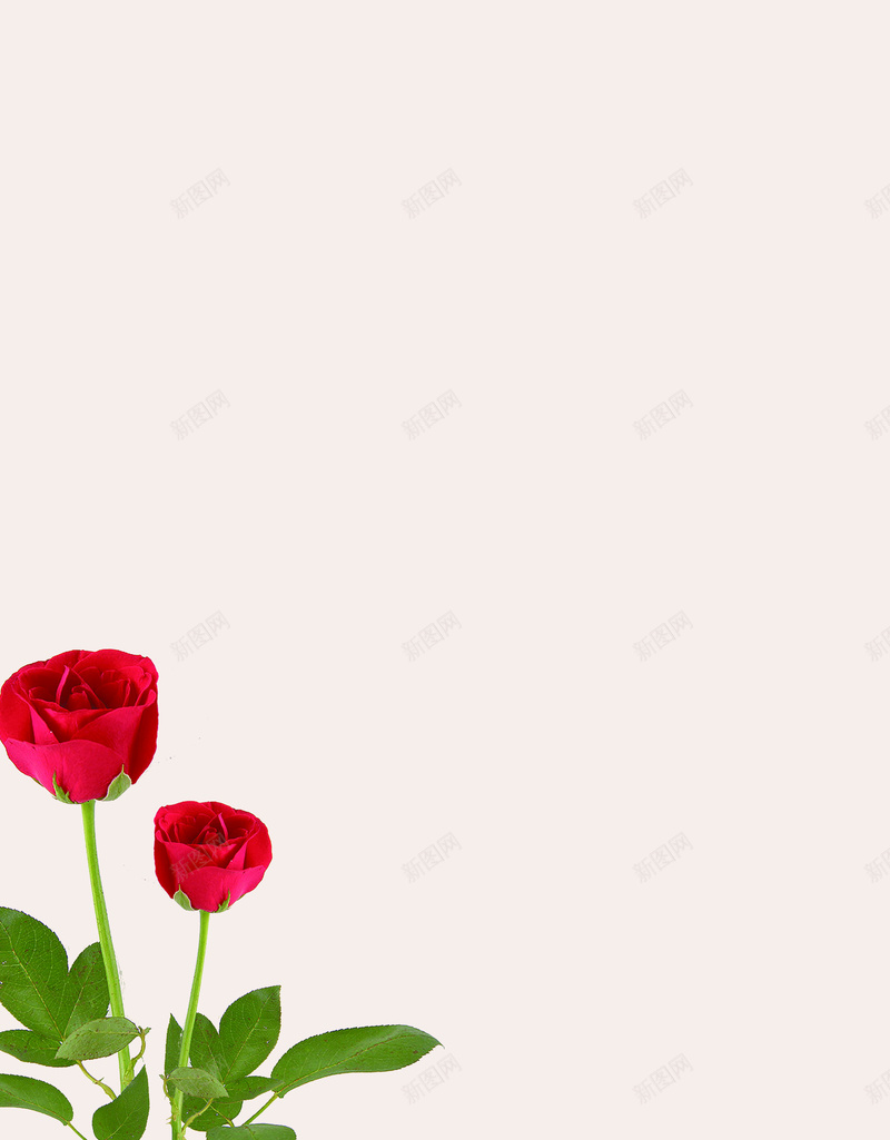 玫瑰花小清新简洁大气神秘大图渐变背景psd设计背景_88icon https://88icon.com 大图 大气 小清新 材料 渐变 玫瑰花 神秘 简洁 背景 高清