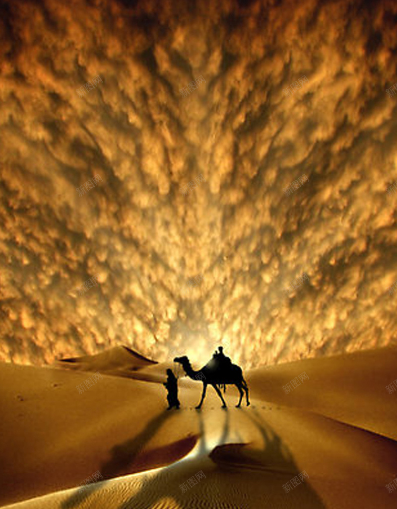 大气磅礴黄色沙漠H5背景jpg_88icon https://88icon.com H5 一带一路 一带一路宣传画 一带一路峰会 一带一路战略 一带一路路线 一带一路高峰论坛 丝绸之路 人物 大气 摄影 服务一带一路 沙漠 磅礴 震撼 风景 骆驼 黄色