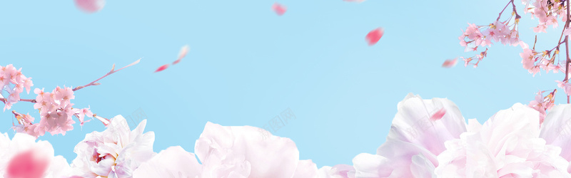 唯美清新花儿banner背景psd_88icon https://88icon.com banner 七夕 唯美 情人节 摄影 暖色 浪漫 海报 清新 背景 花儿