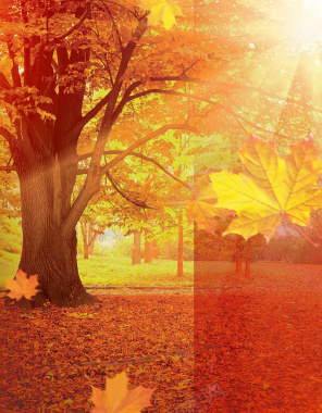 金黄色调的秋季旅游背景背景