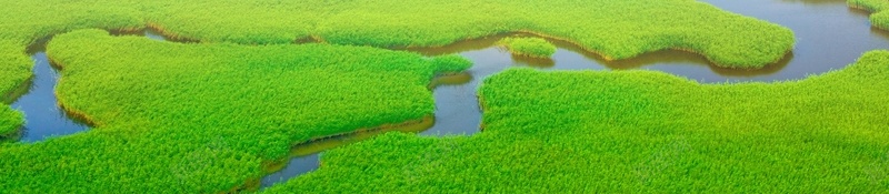 保护湿地背景海报psd设计背景_88icon https://88icon.com 保护 保护海报 湿地 环境 白云 背景海报 自然 蓝天
