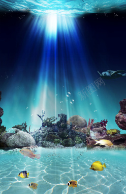 海底世界水族馆宣传海报背景背景