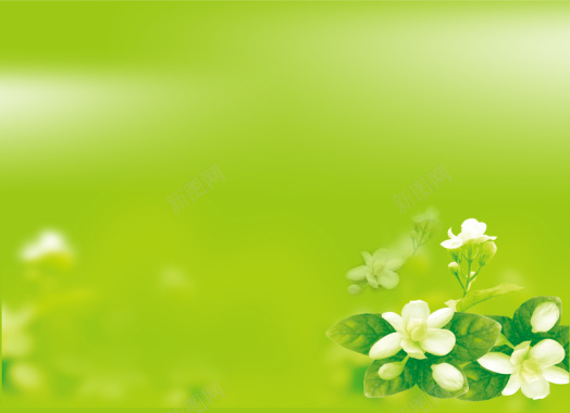 绿色清新茉莉花茶海报背景模板背景