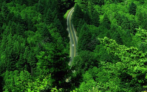 绿意茫茫的高速公路背景