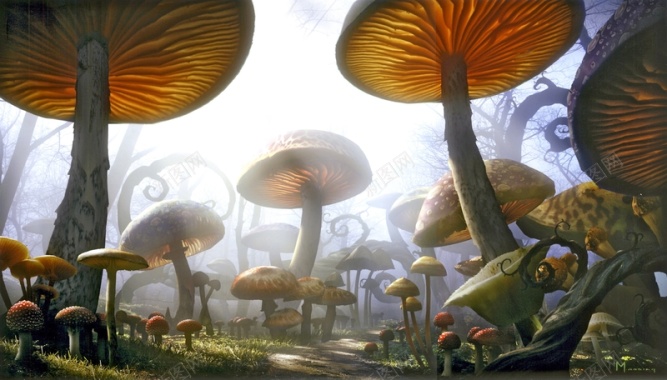 魔幻童话蘑菇背景背景