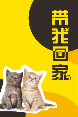 宠物领养公益宣传海报背景psd海报