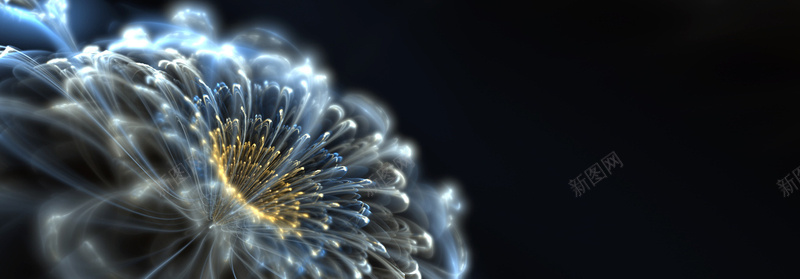3D抽象花瓣背景