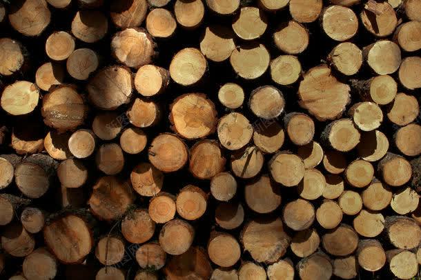 一堆木头jpg设计背景_88icon https://88icon.com 一堆木头图片 一堆木头图片素材下载 其它类别 图片素材 木头 木材 背景花边