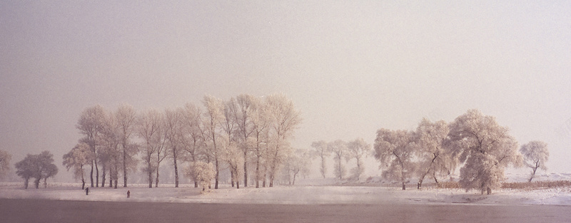 雪景树阳光冬天jpg_88icon https://88icon.com 冬天 摄影 树 温暖 阳光 雪景 风景