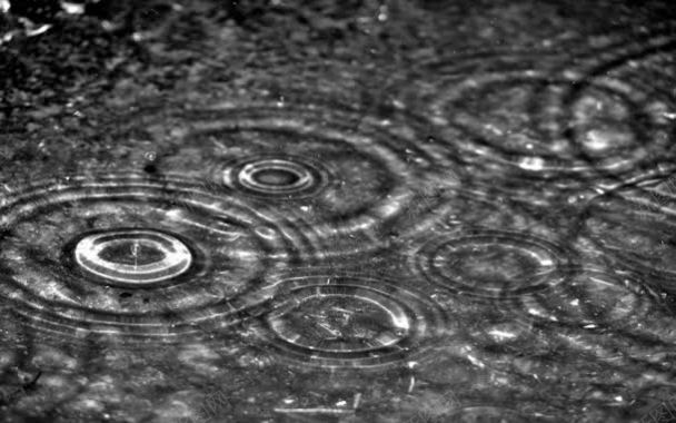 雨点打在地上特写背景